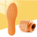 Wormwood Deodorant Insoles